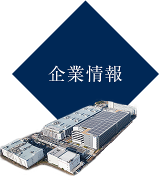 企業情報